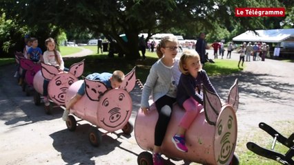 Lamballe. Groin de folie, une fête du cochon sous le soleil