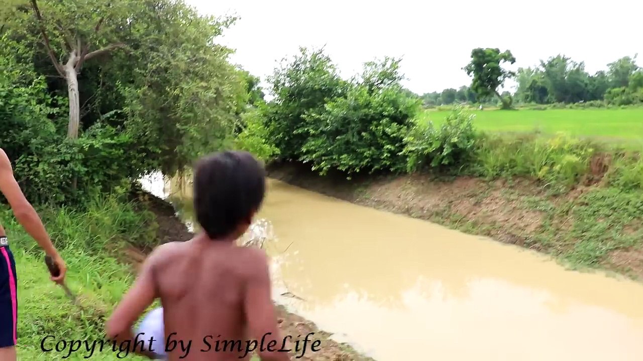 Terrifying ! Amazing Two Brothers Catch Big Snake in the Canal While Go Fishing