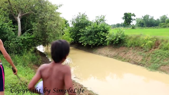 Terrifying ! Amazing Two Brothers Catch Big Snake in the Canal While Go Fishing