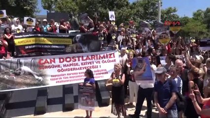Hayvanseverler Eş Zamanlı Yasa Tasarısı Eylemi