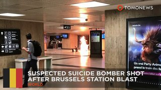Suspected suicide bomber fatally shot after Brussels station blast