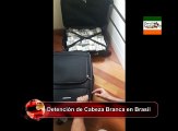 DETENCIÓN DE CABEZA BRANCA EN BRASIL