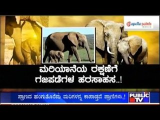 Public TV | Special Time: ಪ್ರಾಣಿಗಳ ಲವ್.. | April 5th, 2016