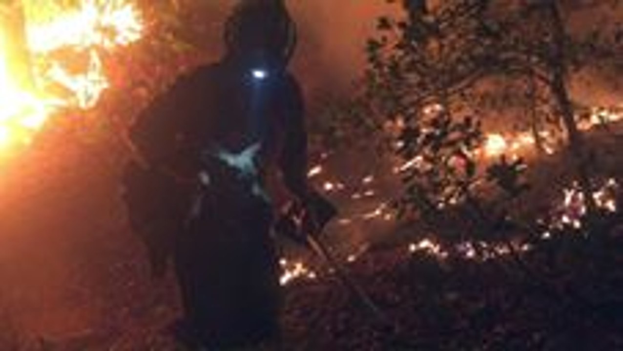 Firefighters Rescue Fawns from Arizona Wildfire