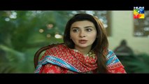 Woh Aik Pal latest Episode 17 HUM TV Drama - 1 July 2017