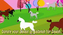 Solaiman (AS) | Prophet story( No Music)| Islamic Cartoon | Islamic Kids Videos | Story fo