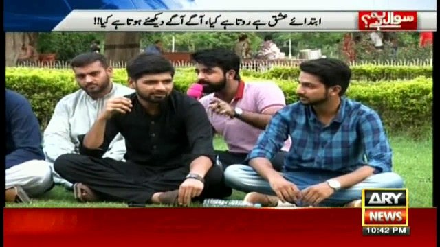 PML-N, PTI youth debate over Panama Leaks case