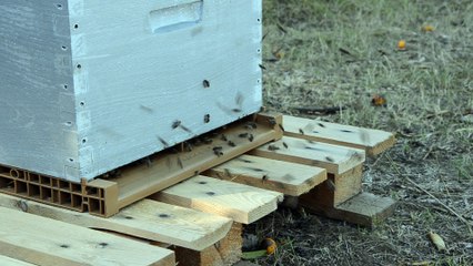 01/07/17 Colonie "Confina"