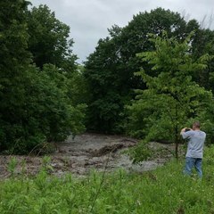 Creeks Overflow in Utica After Heavy Rain