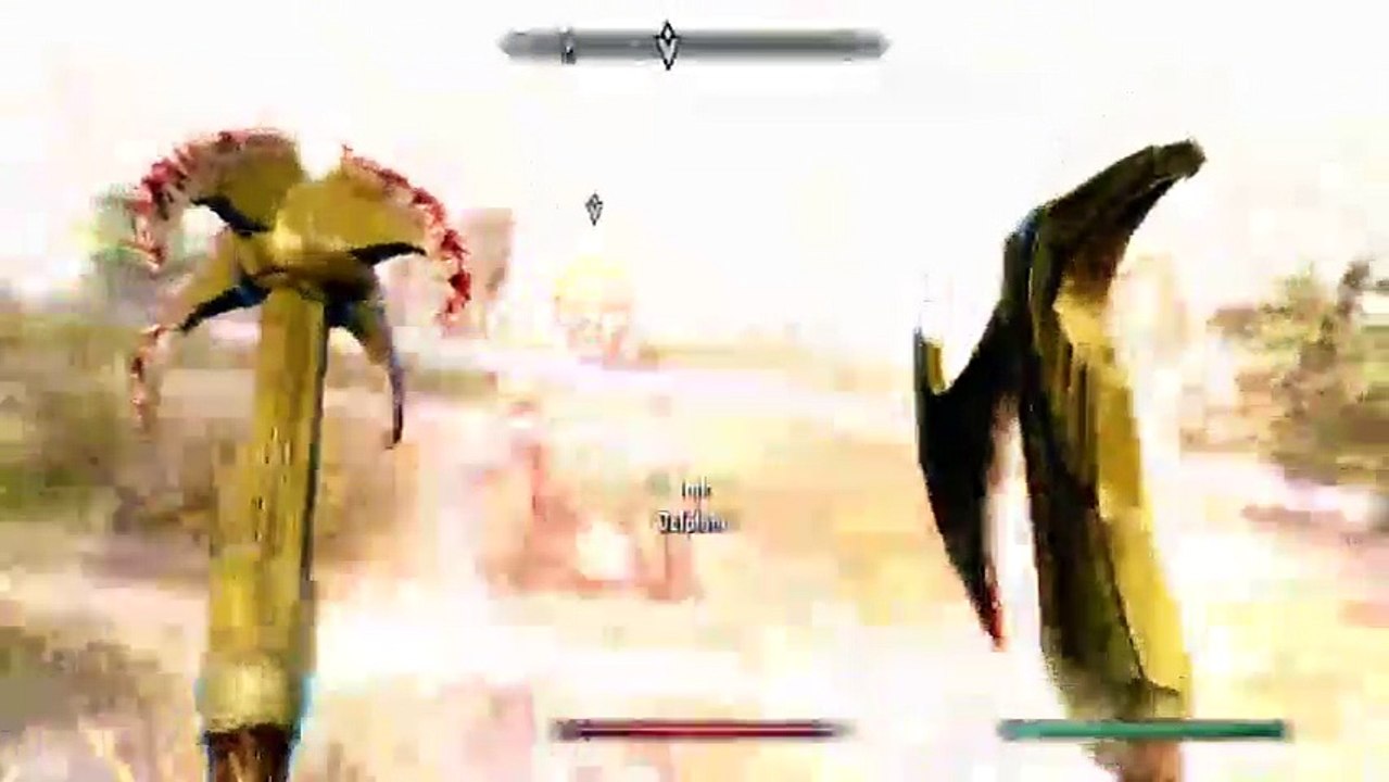 Skyrim (80)