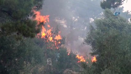 Bodrum Çöplüğü Patladı: Alevler Ormanlık Alana Sıçradı