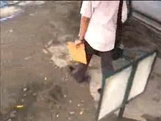 Ang Pakikipagsapalaran ni Ben (The Adventures of Ben)
