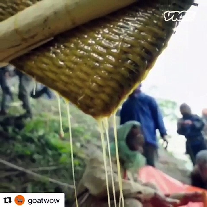 HONEY THAT GETS YOU HIGH
