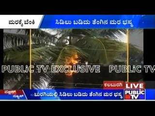 Gulbarga: Coconut Tree Caught Fire Because Of Being Hit By Lightning