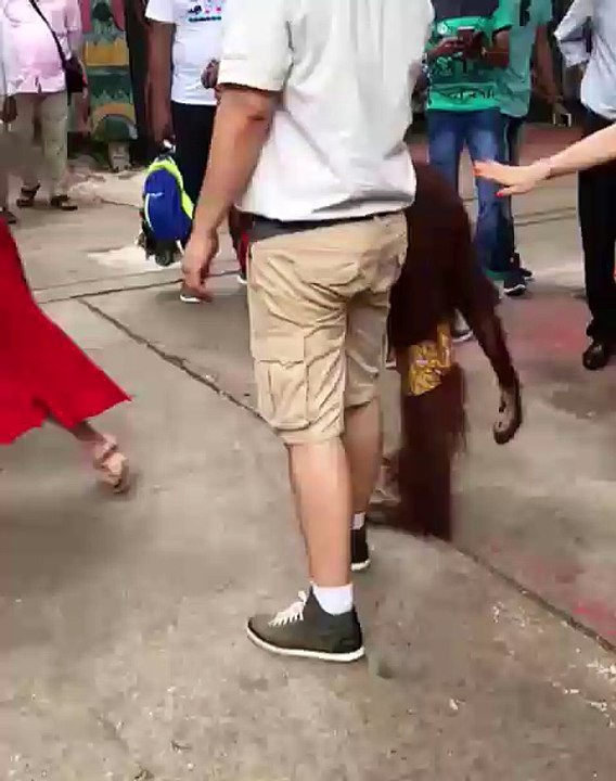 Naughty Monkey