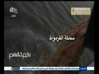 #لازم_نفهم | ‎مزارع غير مرخصة تستخدم جيف الحيوانات وأحشاء الدواجن لغذاء الأسماك