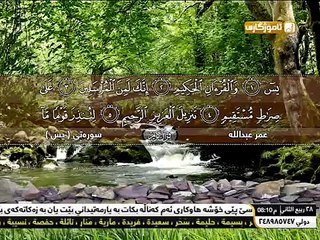 سورة يس شيخ عمر بن عبدالله العراقي