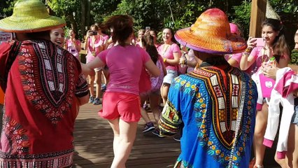 video onefive dia 2 animal kingdom v2