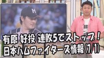 日本ハム 有原航平 好投！連敗5でストップ！昨日のロッテ戦 2017.7.1 日本ハムファイターズ情報 プロ野球