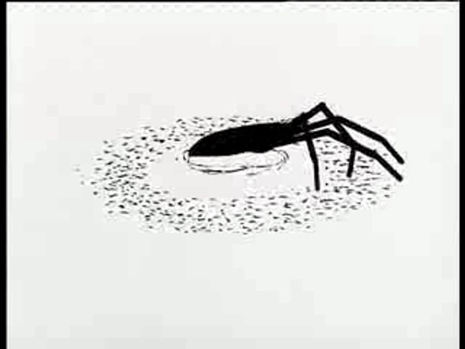 La Revolution des Crabes