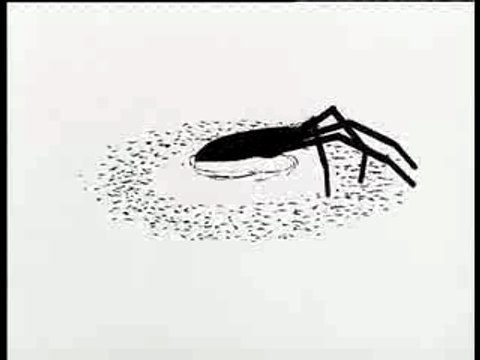 La Revolution des Crabes