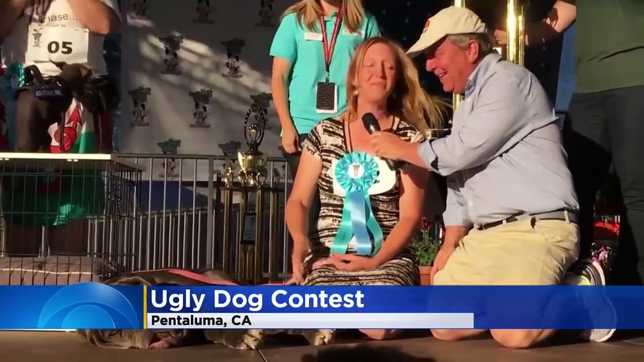 125-Pound Mastiff Named World's Ugliest Dog
