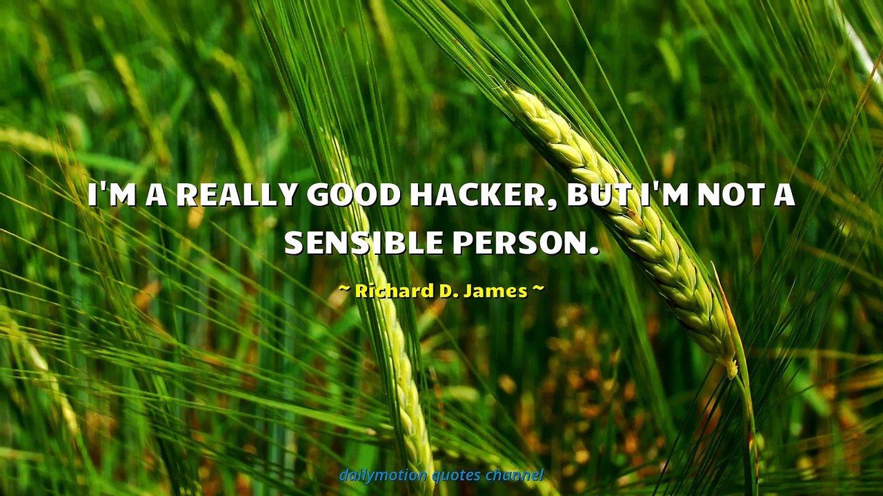 Richard D. James Quotes
