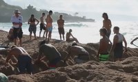Ombak Buatan Dibuat untuk Berselancar di Pantai Hawaii