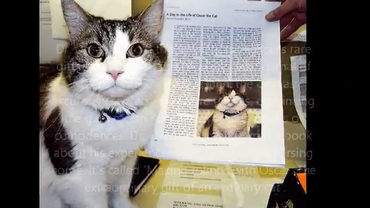 Oscar The Cat: Oscar Therapy Cat- the Nursing Home Cat Who Can Sense Death Coming