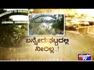 Public TV | Special Time: ಬನ್ನೇರುಘಟ್ಟದಲ್ಲಿ ನೀರಿಲ್ಲ..! | March 30th, 2016