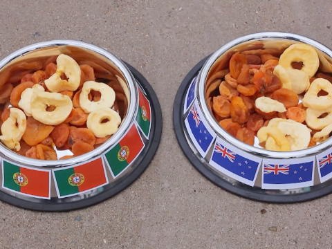 VIRAL: Sepakbola: Nika Sang Beruang 'Memilih' Jerman Jadi Juara