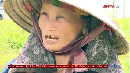 Báo động tình trạng nông dân bỏ ruộng tại Hà Tĩnh