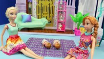 Et bébé poupées la famille gelé enfants parodie jumeaux Elsa felicia alex ❤ barbie disneycar