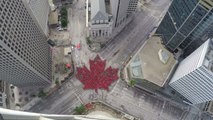 Time-lapse shows Winnipeg's largest 'living' maple leaf as tribute to Canada 150 celebrations