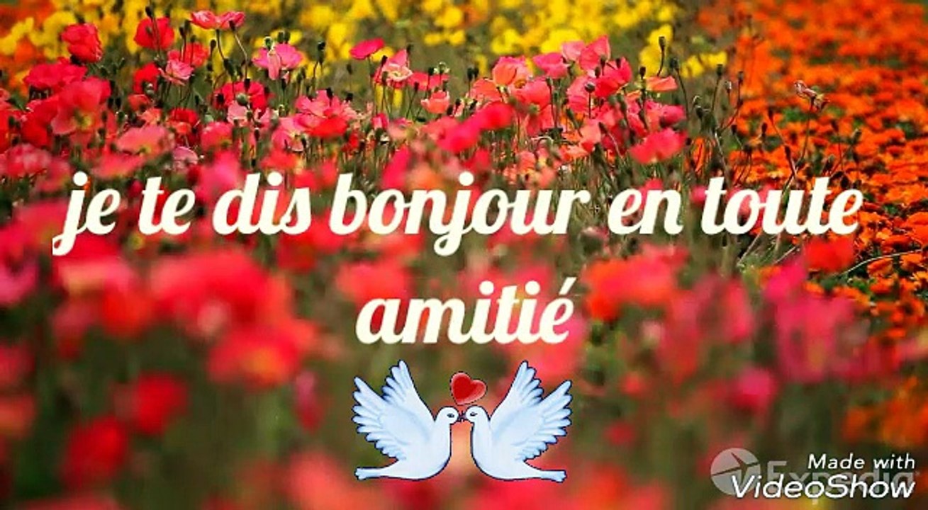 Bonne Journée