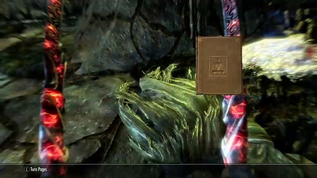 Skyrim (83)