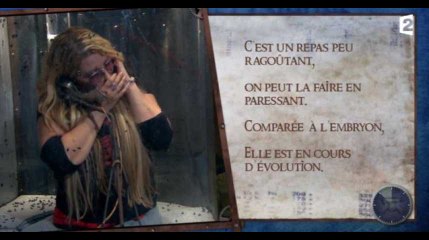 Fort Boyard 2017 : Loana fait une crise de panique face à des insectes (Vidéo)