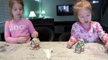 Elsa Toddler Gingerbread House Crushed! SISreviews M1