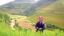 The Golden season in Mu Cang Chai