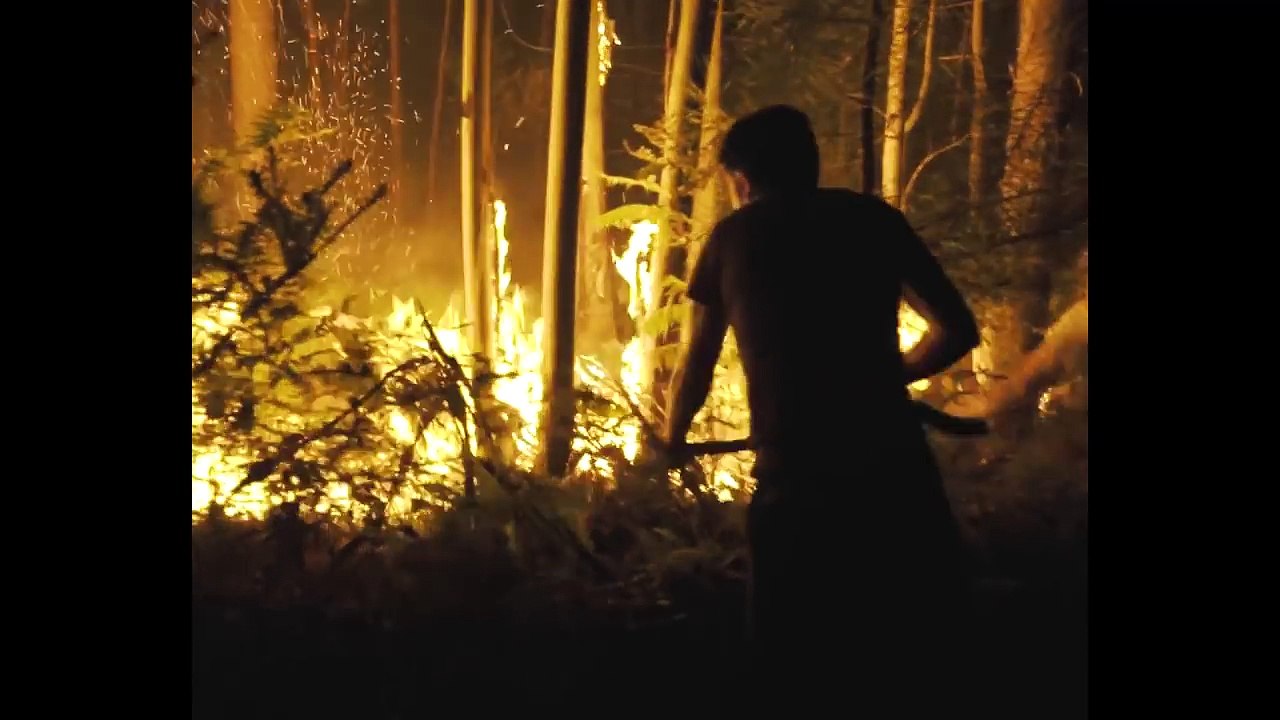 O terror em Figueiró dos Vinhos, perto de Pedrógão Grande.