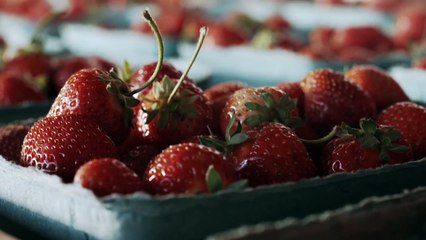 Hand-Crafted Delicious Dairy - Ice Cream and Gelato on Canada’s West Coast