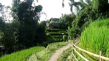 VOYAGE VIETNAM: Video de la région de Sapa, les rizieres