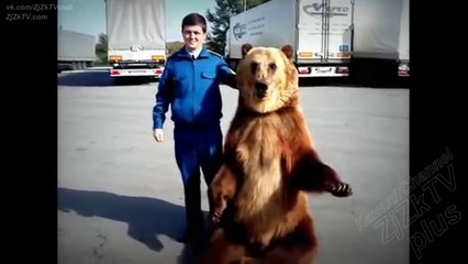 The most interesting video in the world (A fascinating and informative) #173