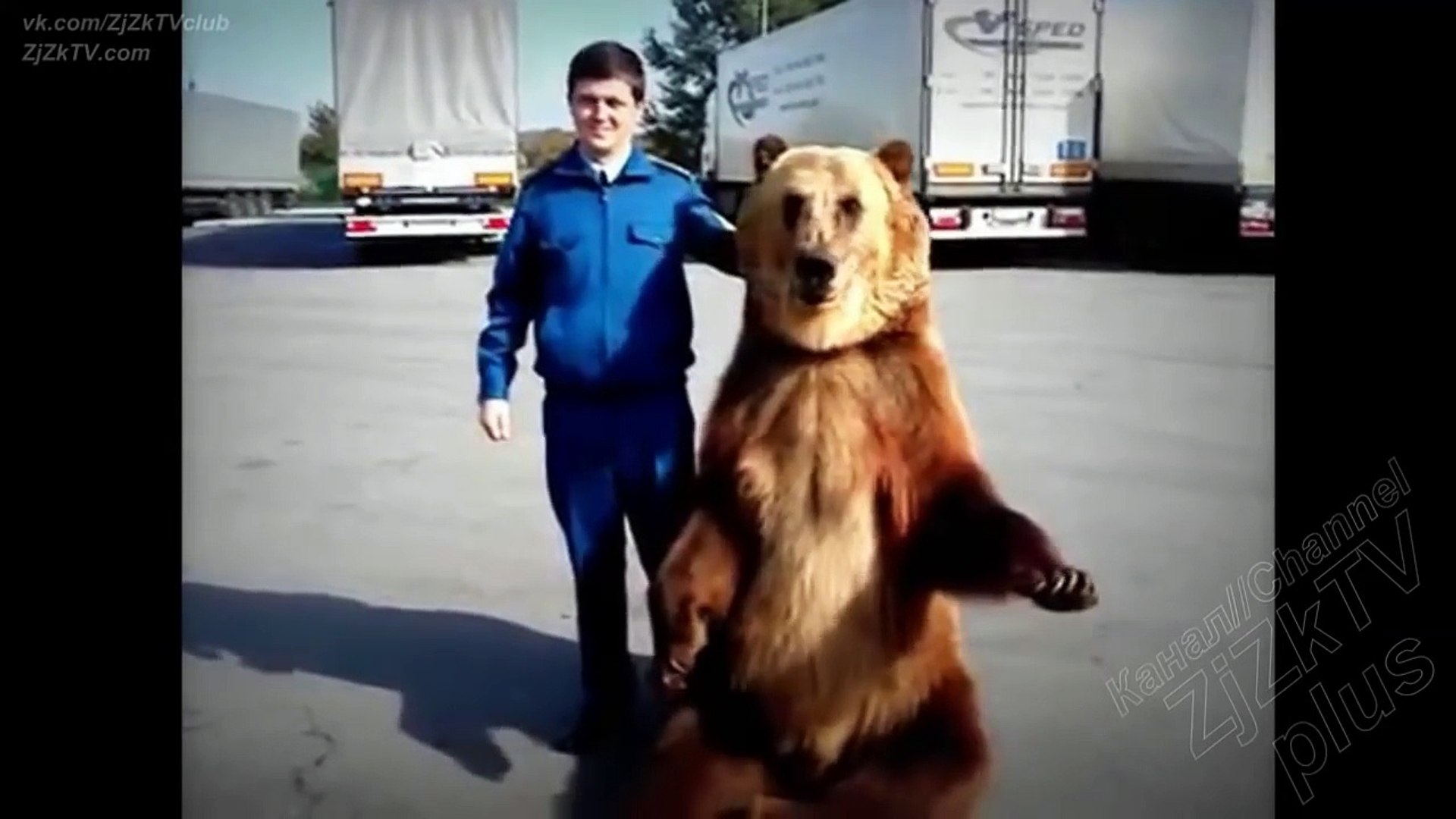 The most interesting video in the world (A fascinating and informative) #173