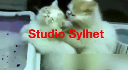 Funny Sylheti