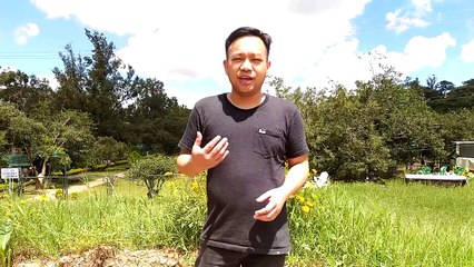 Mobile Video Boss Review - Professional Video Shooting, Editing & Publishing