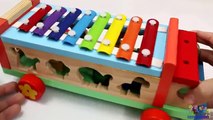 Learning Colors Shapes Sizes for Toddlers Children with Wooden Toys Educational Video Comp