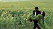 [MP4 360p] Jhonka Hawa Ka (Video Song) _ Hum Dil De Chuke Sanam _ Salman Khan _ Aishwarya Rai