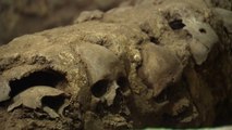 Uncovered tower of skulls reveals dark Aztec history