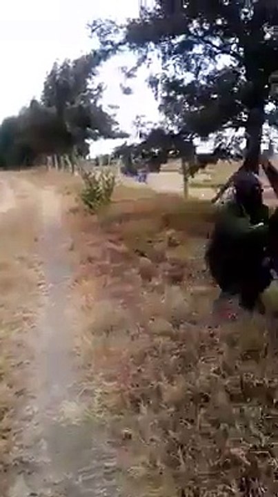 Yürü be kim tutar seni